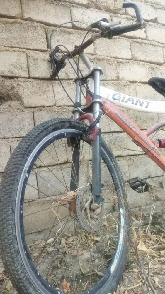 فروشی|دوچرخه، اسکیت، اسکوتر|فیروزآباد (فارس), |دیوار