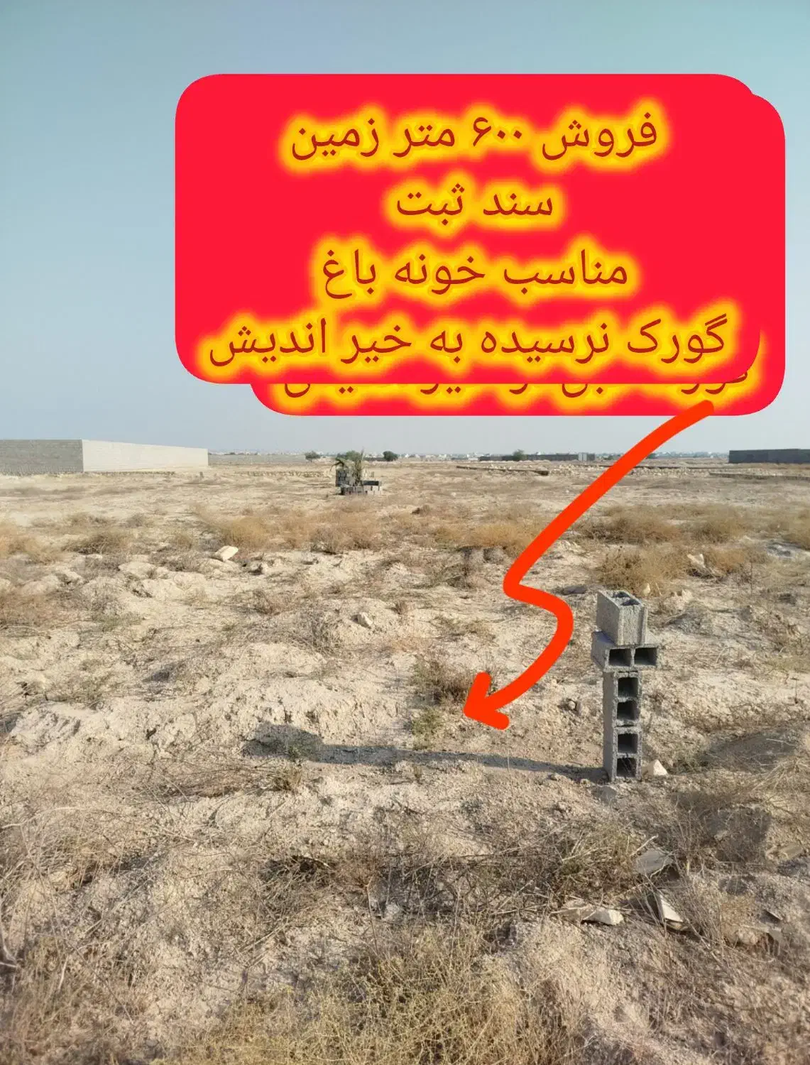 فروش زمین باغی|فروش دفتر صنعتی، کشاورزی، تجاری|بوشهر, |دیوار