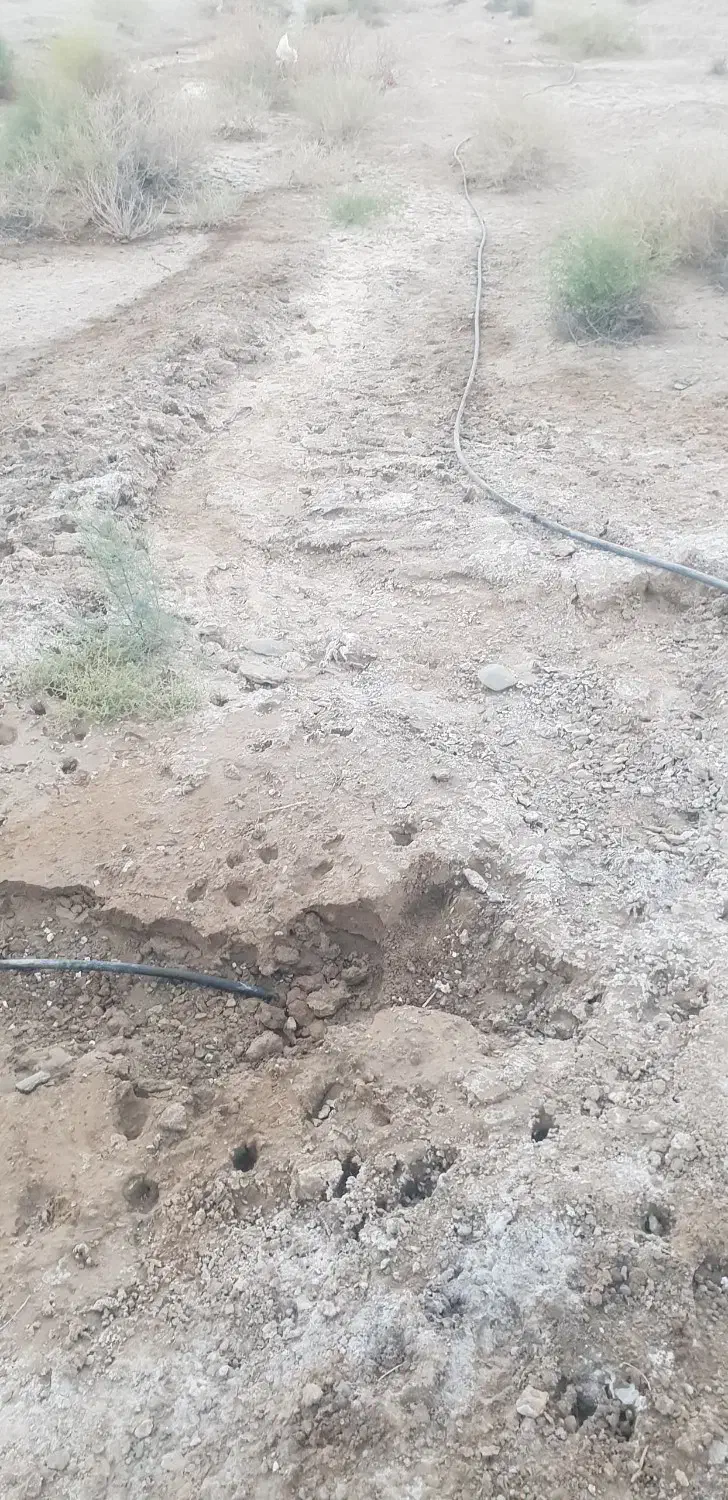 بنا|خدمات پیشه و مهارت|چابهار, |دیوار