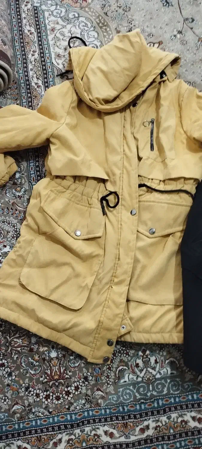 پالتو و بافت|لباس|کرمان, |دیوار