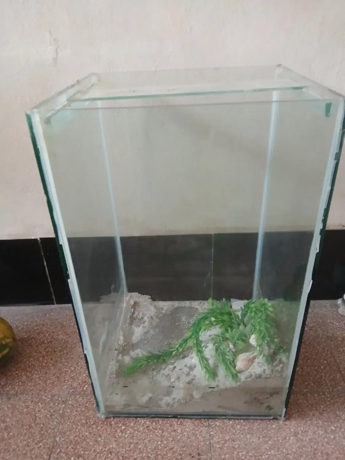 شیشه‌ای  آکواریوم|ماهی|لنگرود, |دیوار