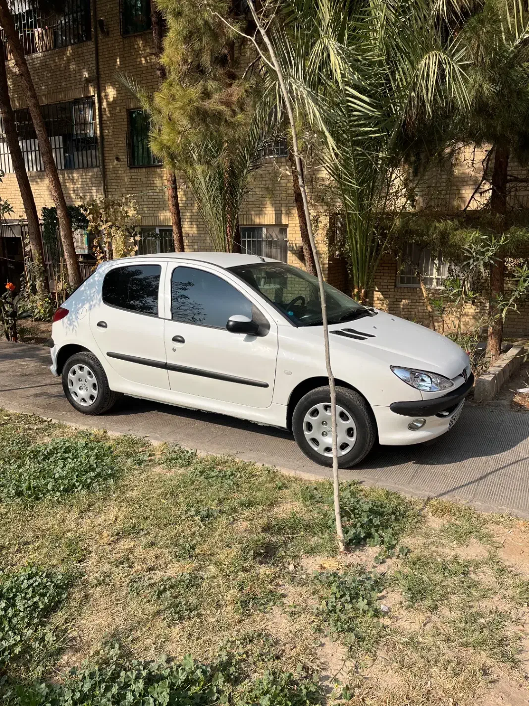 ۲۰۶تیپ ۵مدل ۹۲|خودرو سواری و وانت|ری, علایین|دیوار