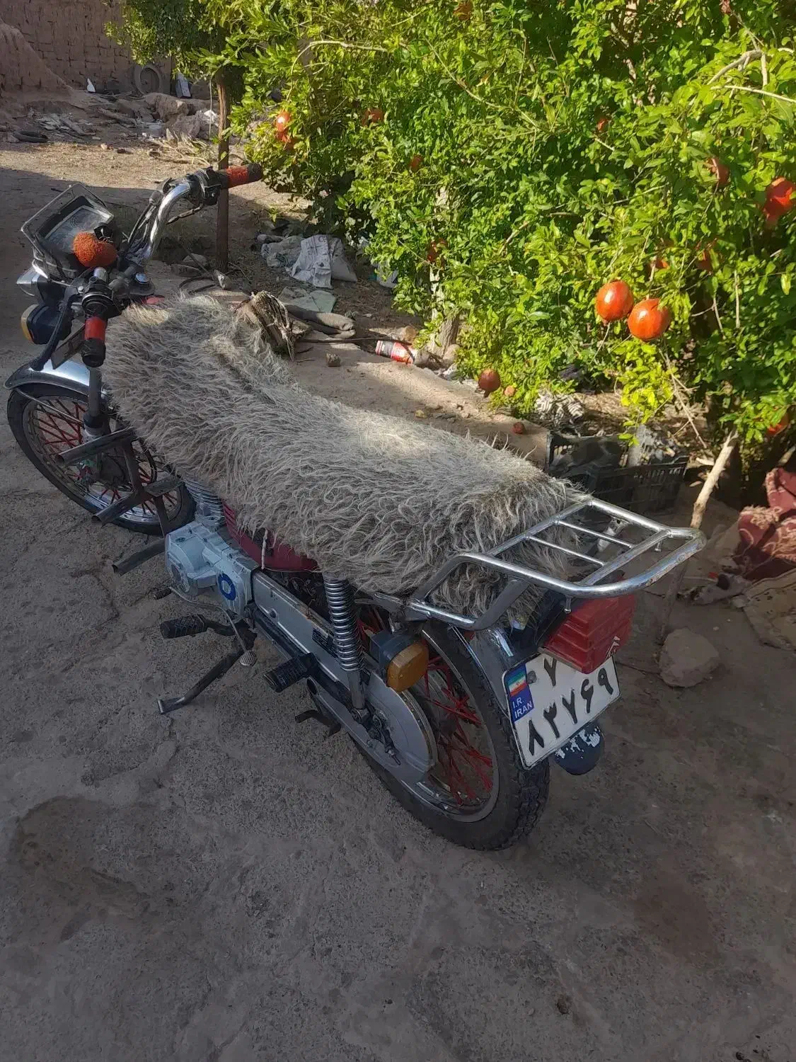 موتور|موتورسیکلت|گزیک, |دیوار