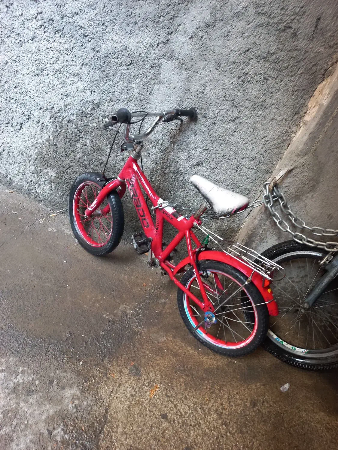 دوچرخه ۱۶|دوچرخه، اسکیت، اسکوتر|باغستان, |دیوار