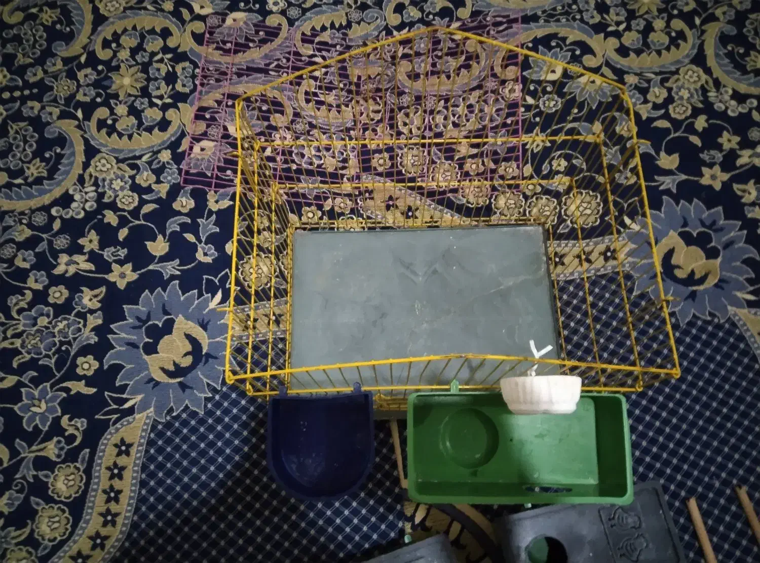 وسایل پرنده|لوازم جانبی حیوانات|بهارستان, |دیوار