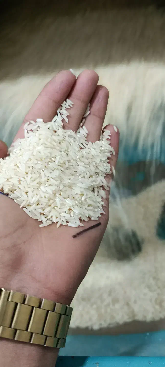 برنج هاشمی|عمده‌فروشی|دره رود, |دیوار