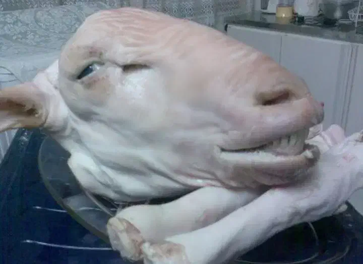 بره نر|خوردنی و آشامیدنی|اسدآباد, |دیوار