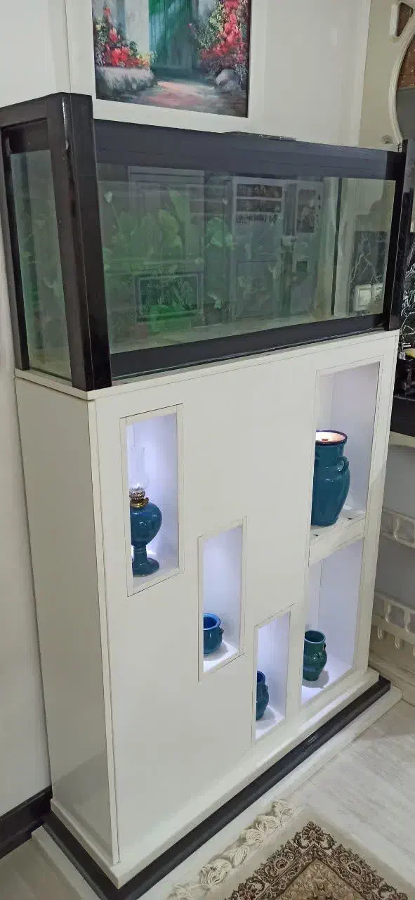 آکواریوم دکوری|ماهی|قم, بنیاد|دیوار