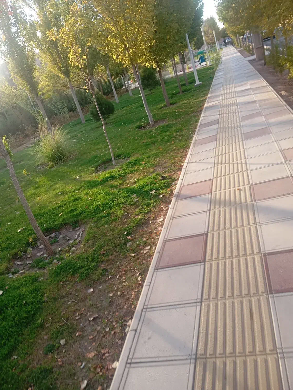 سوال|گردهمایی و همایش|قم, ارم|دیوار