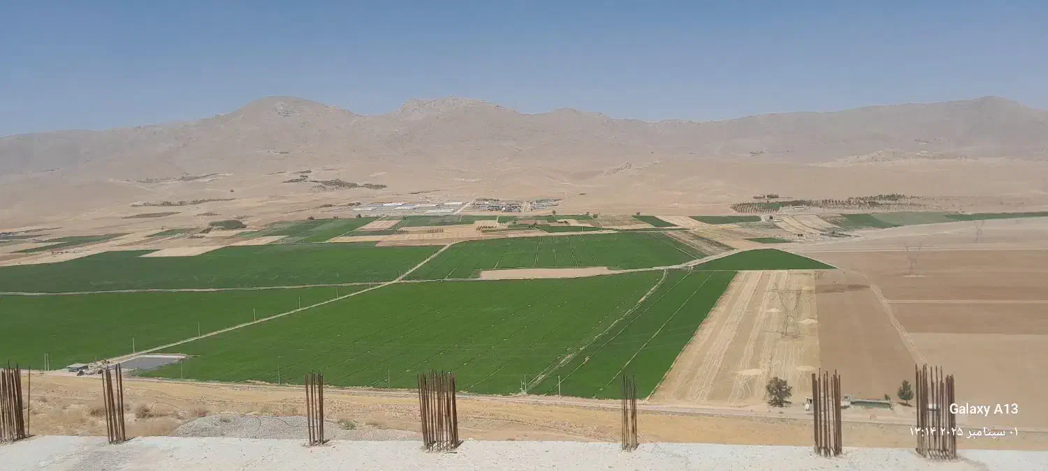 فروش زمین باغی دو کله برجاده فتح اباد|فروش زمین و ملک کلنگی|لاران, |دیوار