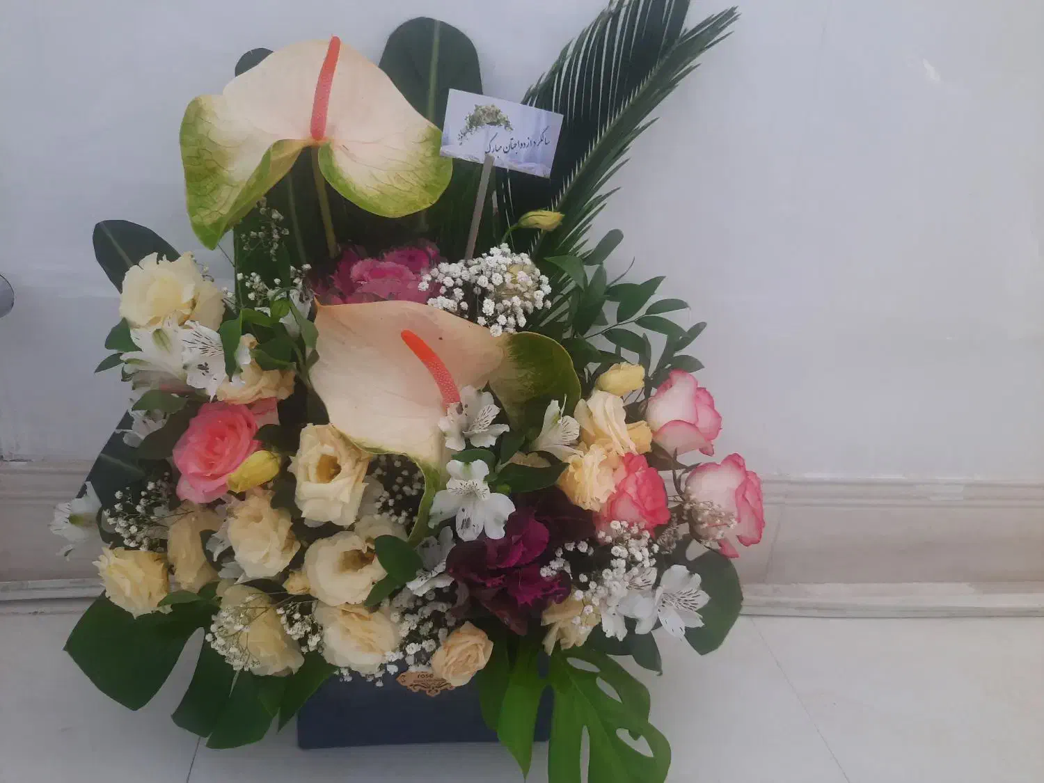 باکس گل طبیعی|گل و گیاه طبیعی|مشهد, خواجه ربیع|دیوار