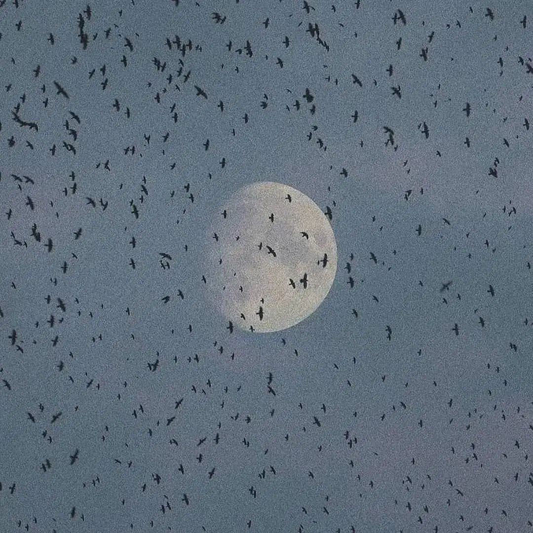 هدیه ۵۰۰۰۰ تومانی|کارت هدیه و تخفیف|نجف‌آباد, امام خمینی|دیوار