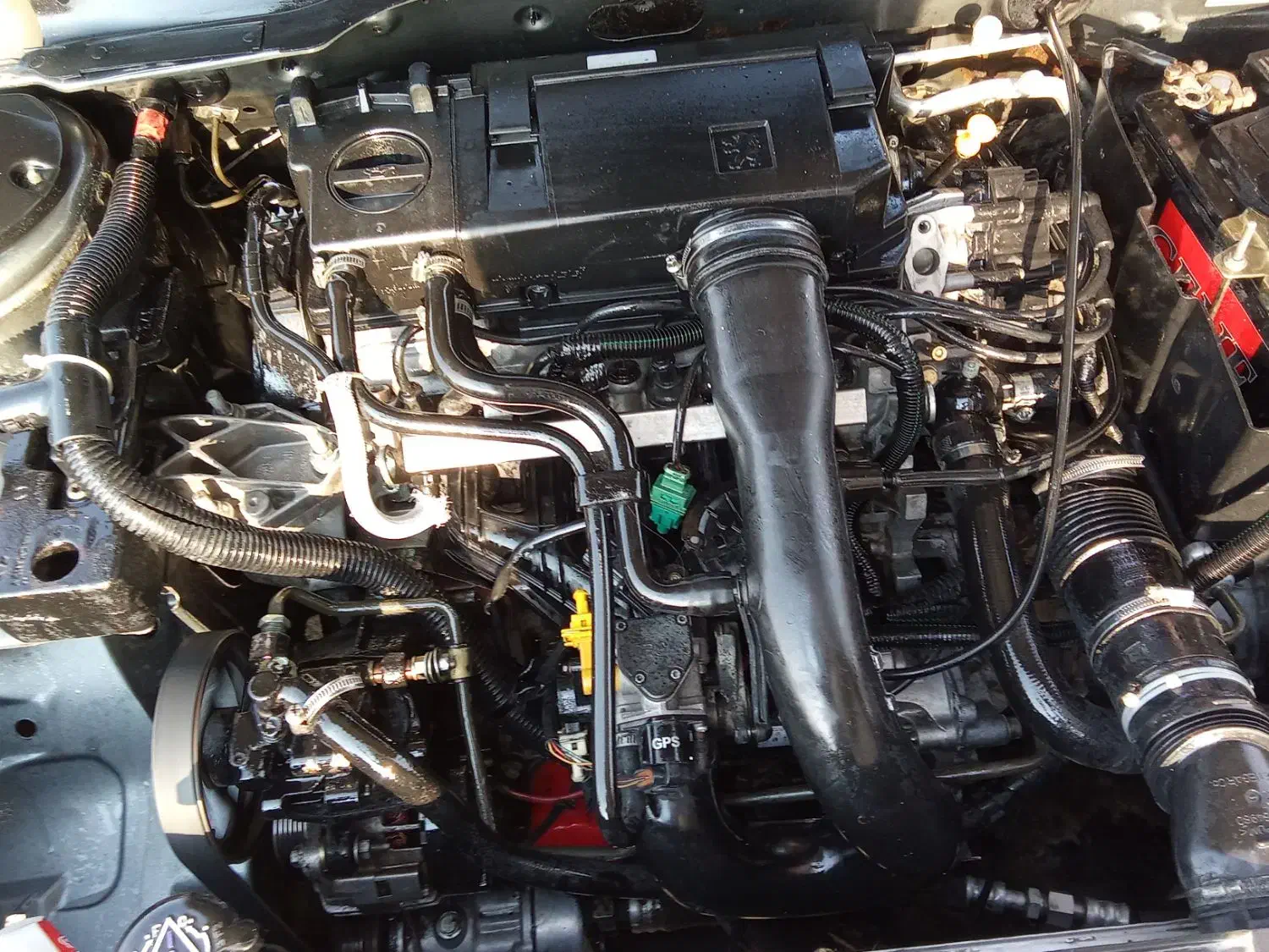 پژو ۴۰۵ مدل۱۳۸۸|خودرو سواری و وانت|گلستان (تهران), |دیوار