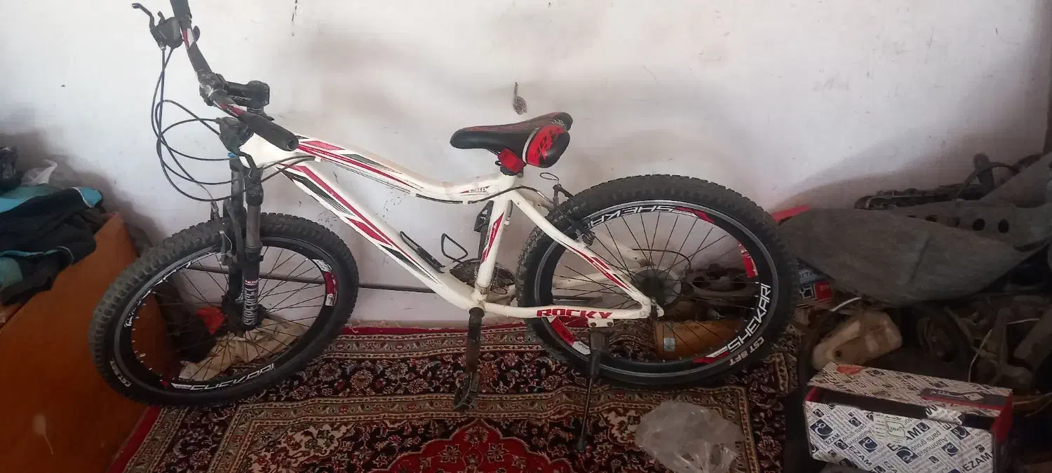 دوچرخه شکاری|دوچرخه، اسکیت، اسکوتر|گنبد کاووس, |دیوار