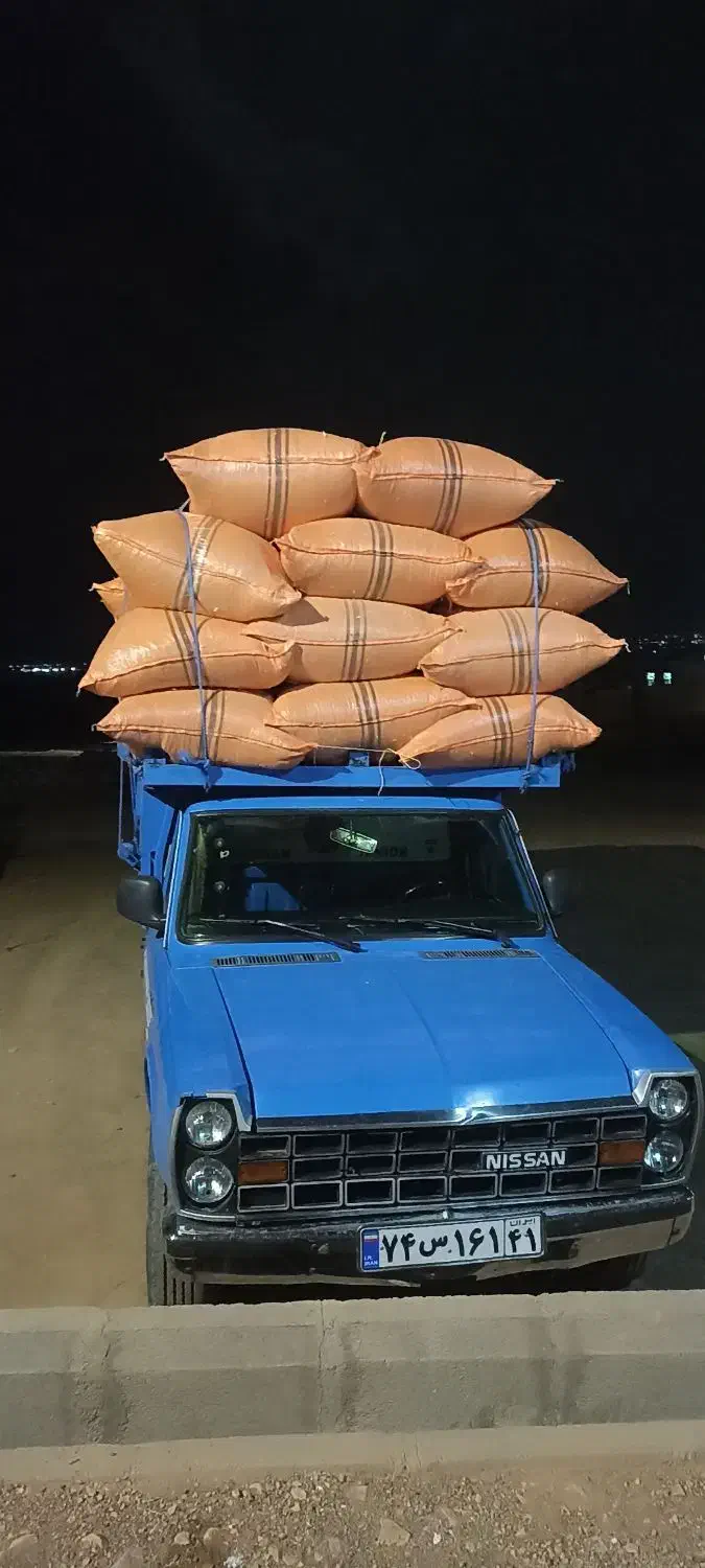 کاه سفید درجه یک|لوازم جانبی حیوانات|شهرکرد, |دیوار