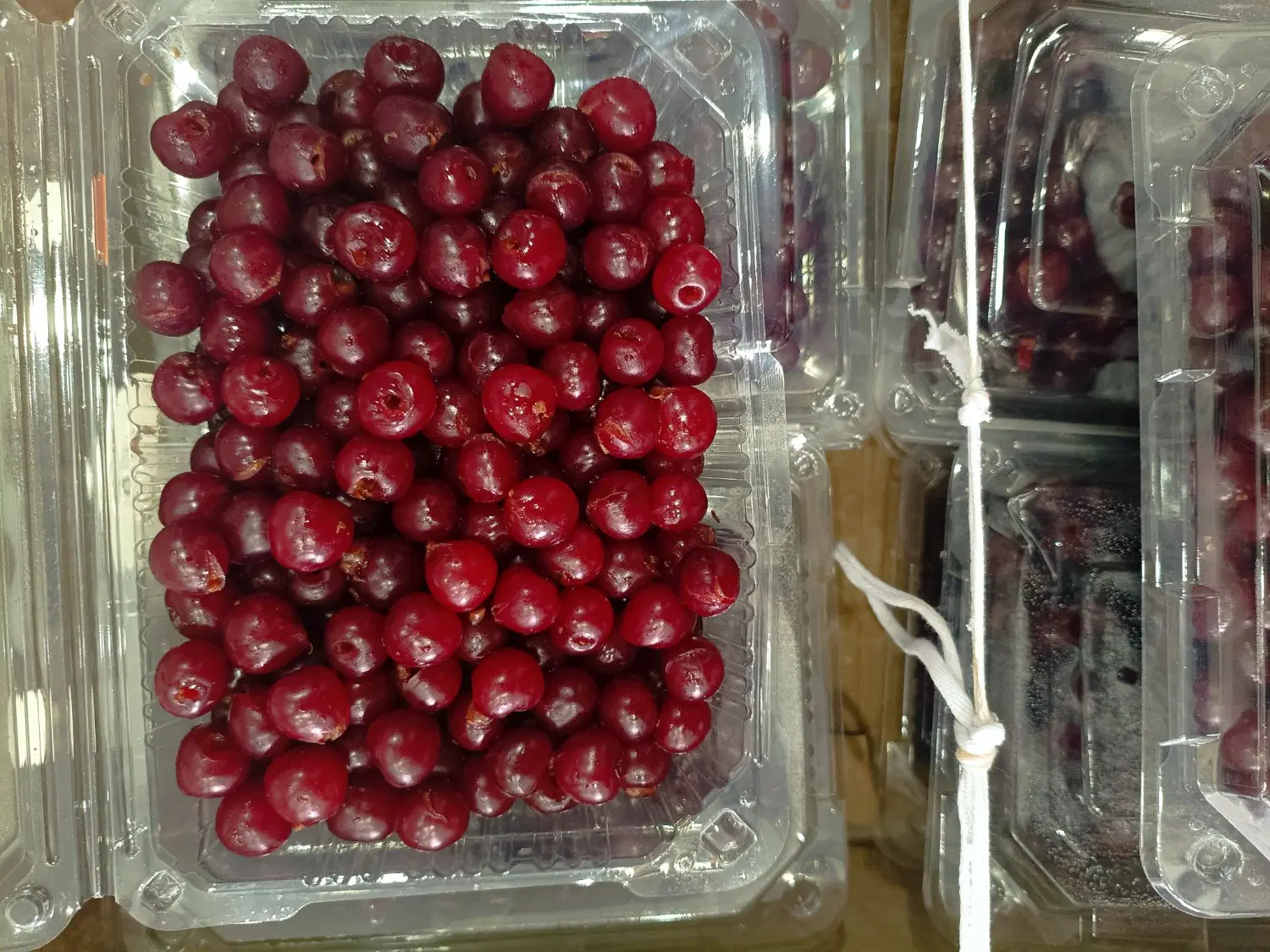 آلبالو بدون هسته|خوردنی و آشامیدنی|تهران, میدان میوه و ترهبار مرکزی|دیوار