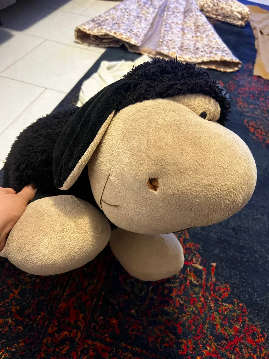 یک عدد عروسک خارجی سایز متوسط|اسباب‌‌بازی|بابلسر, |دیوار