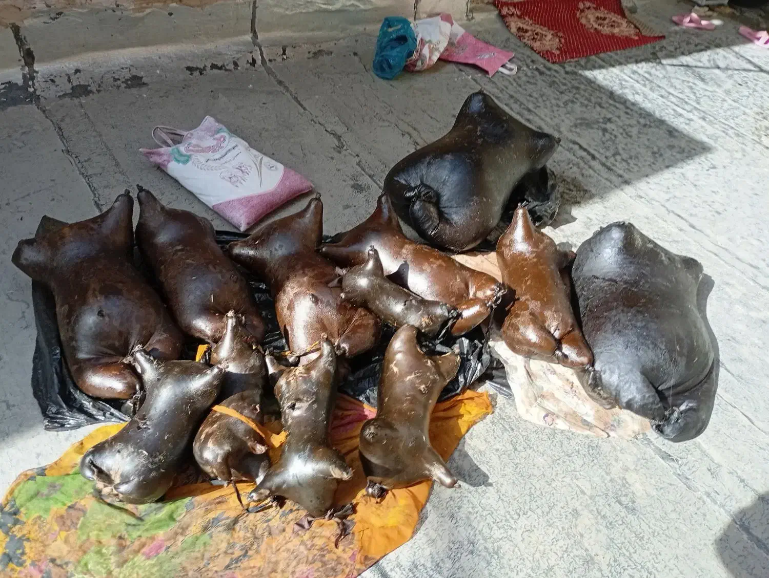 هیزه|حیوانات مزرعه|جوانرود, |دیوار