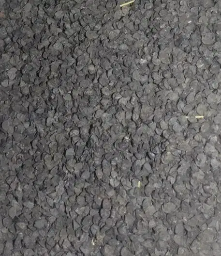 بذر پیاز قرمز گیلاسی|گل و گیاه طبیعی|دامن, |دیوار