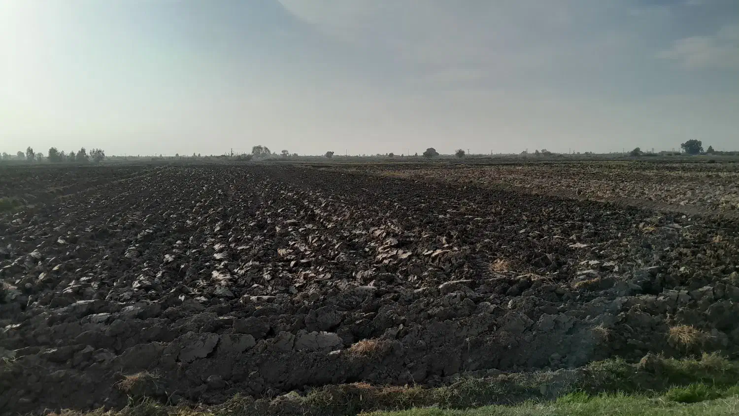 فروش زمین شالی|فروش زمین و ملک کلنگی|مزرعه کتول, |دیوار