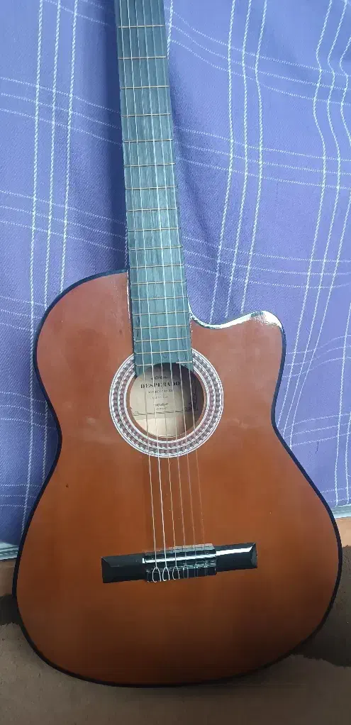 گیتار سالم|گیتار، بیس، امپلیفایر|رودسر, |دیوار