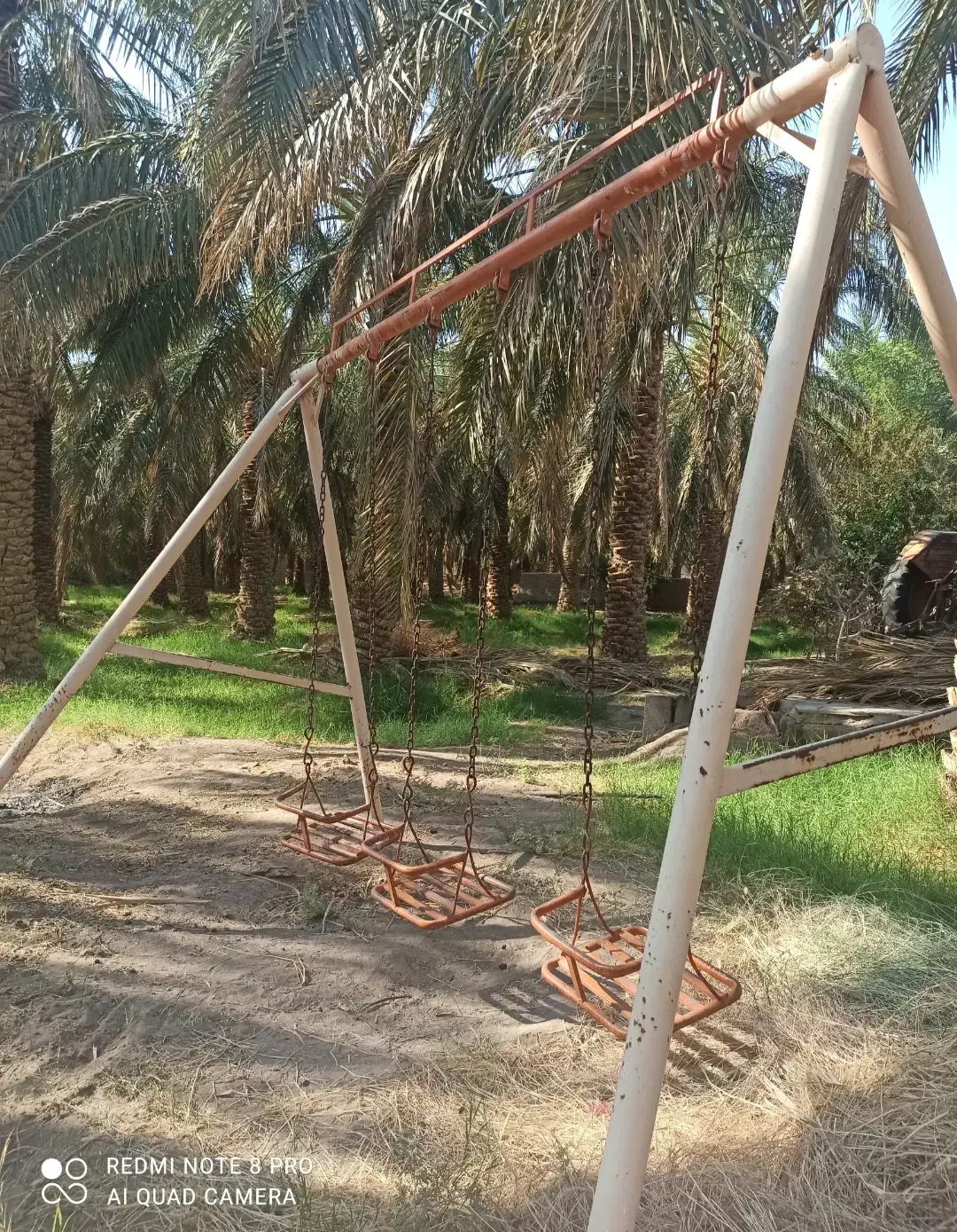 فروش تاب والاگلنگ|اسباب‌‌بازی|بم, |دیوار