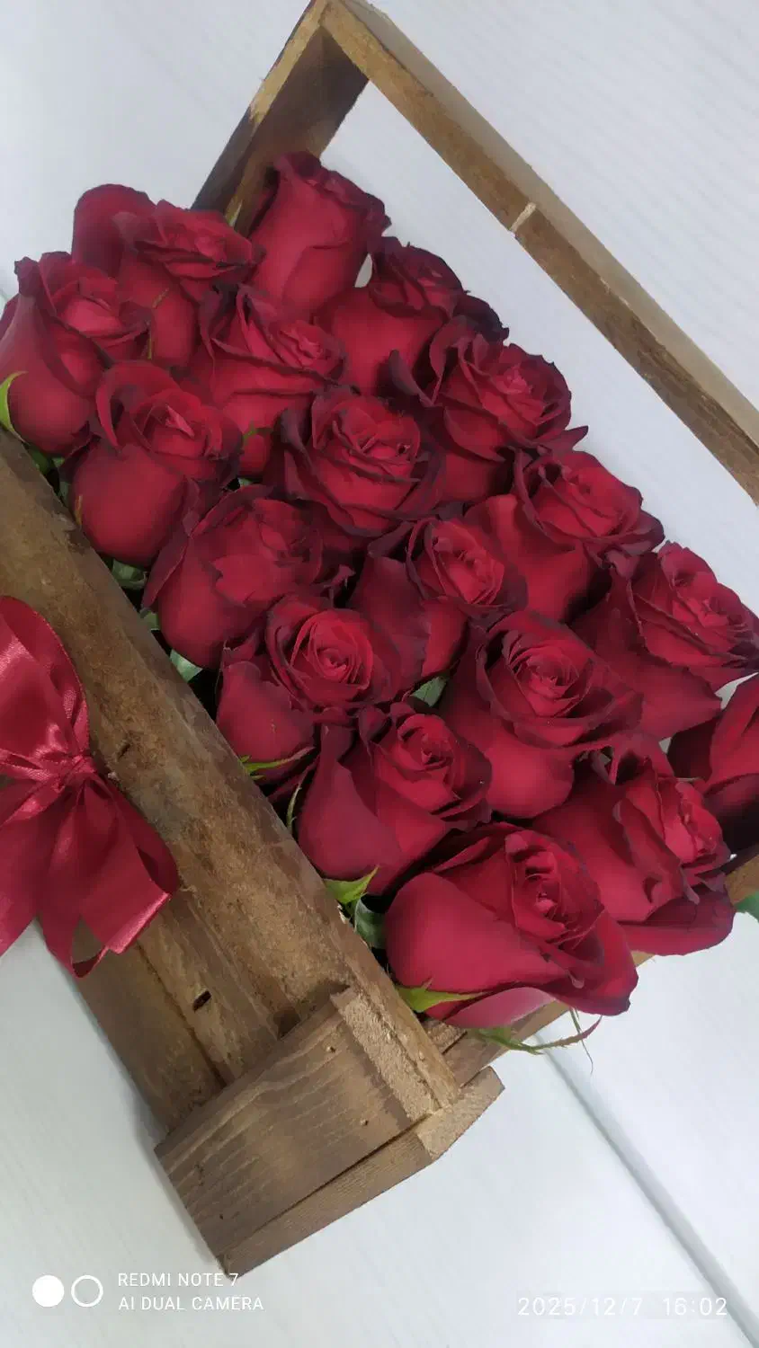 گل رز قرمز سالم با گلدان چوبی زیبا|گل و گیاه طبیعی|تهران, نظامی گنجوی (توانیر)|دیوار