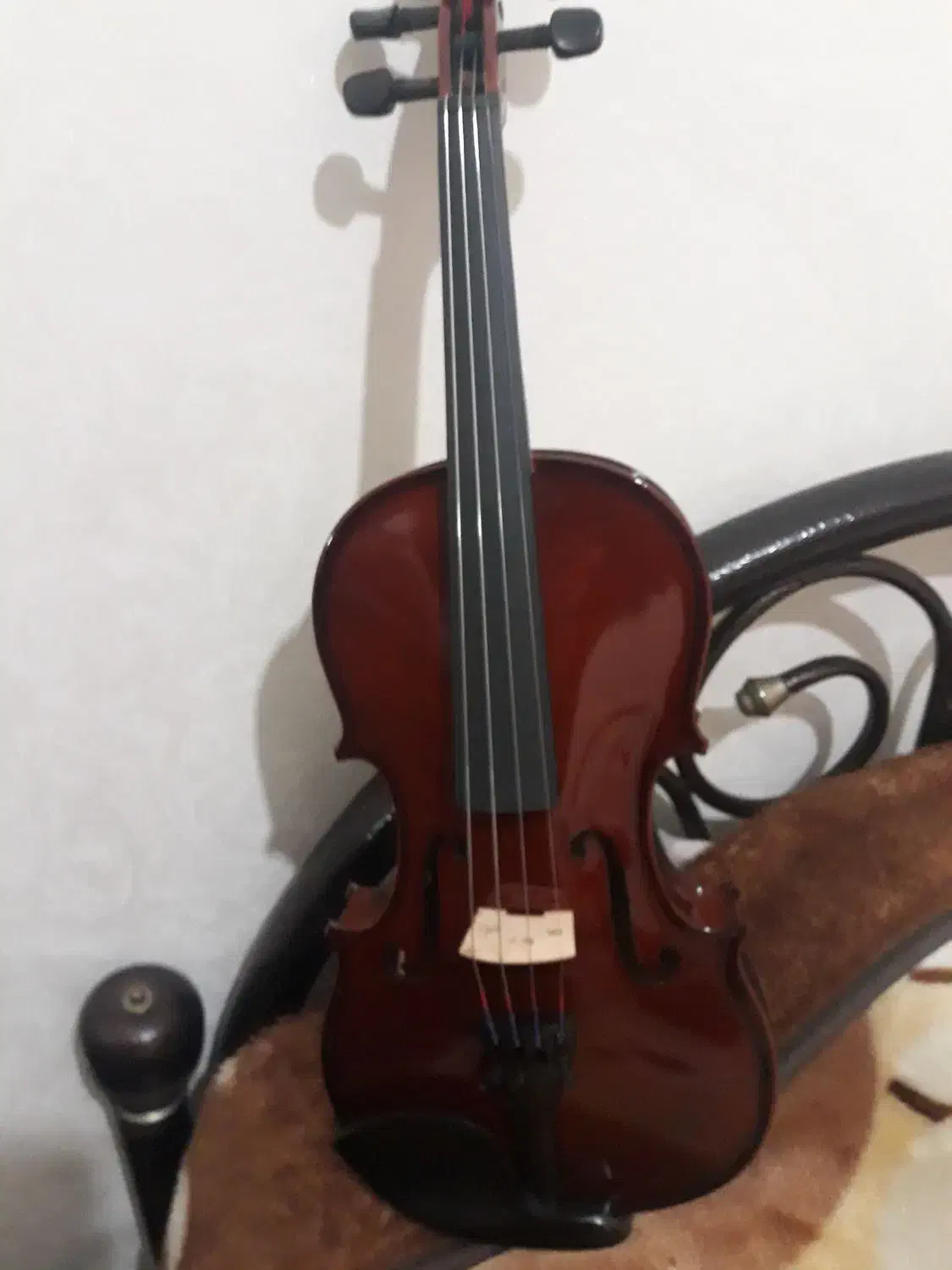 ویلون آلمانی اصل|ویولن|تبریز, |دیوار