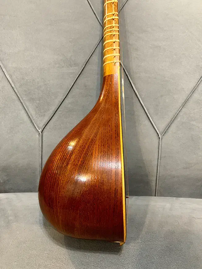 سه تار محمود صادق محمدی|سازهای سنتی|رشت, گلسار|دیوار