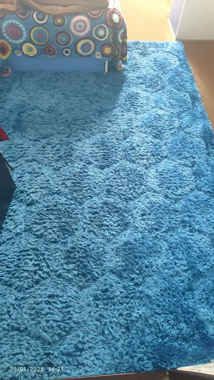 قالیچه|فرش|کرمان, |دیوار