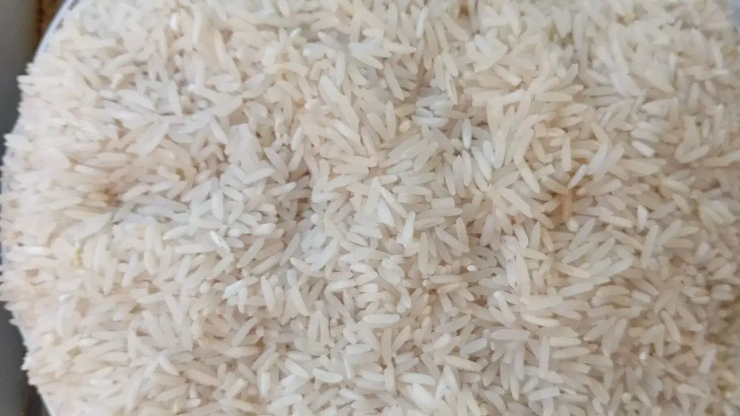 برنج فجر سوزنی|خوردنی و آشامیدنی|خان ببین, |دیوار