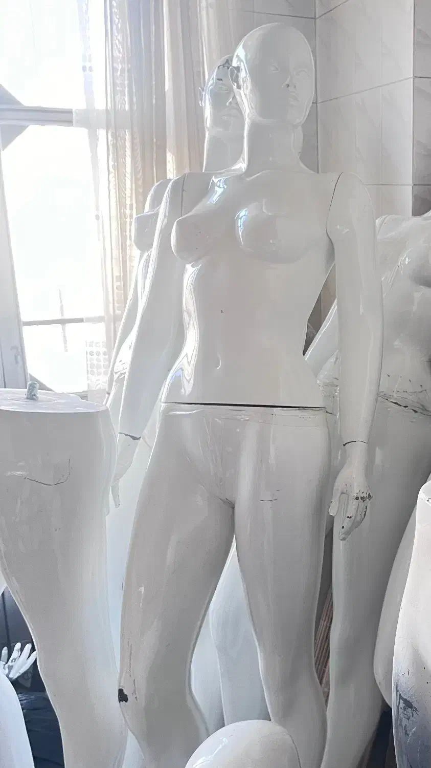 مانکن زنانه پویان|فروشگاه و مغازه|شیراز, سینما سعدی|دیوار