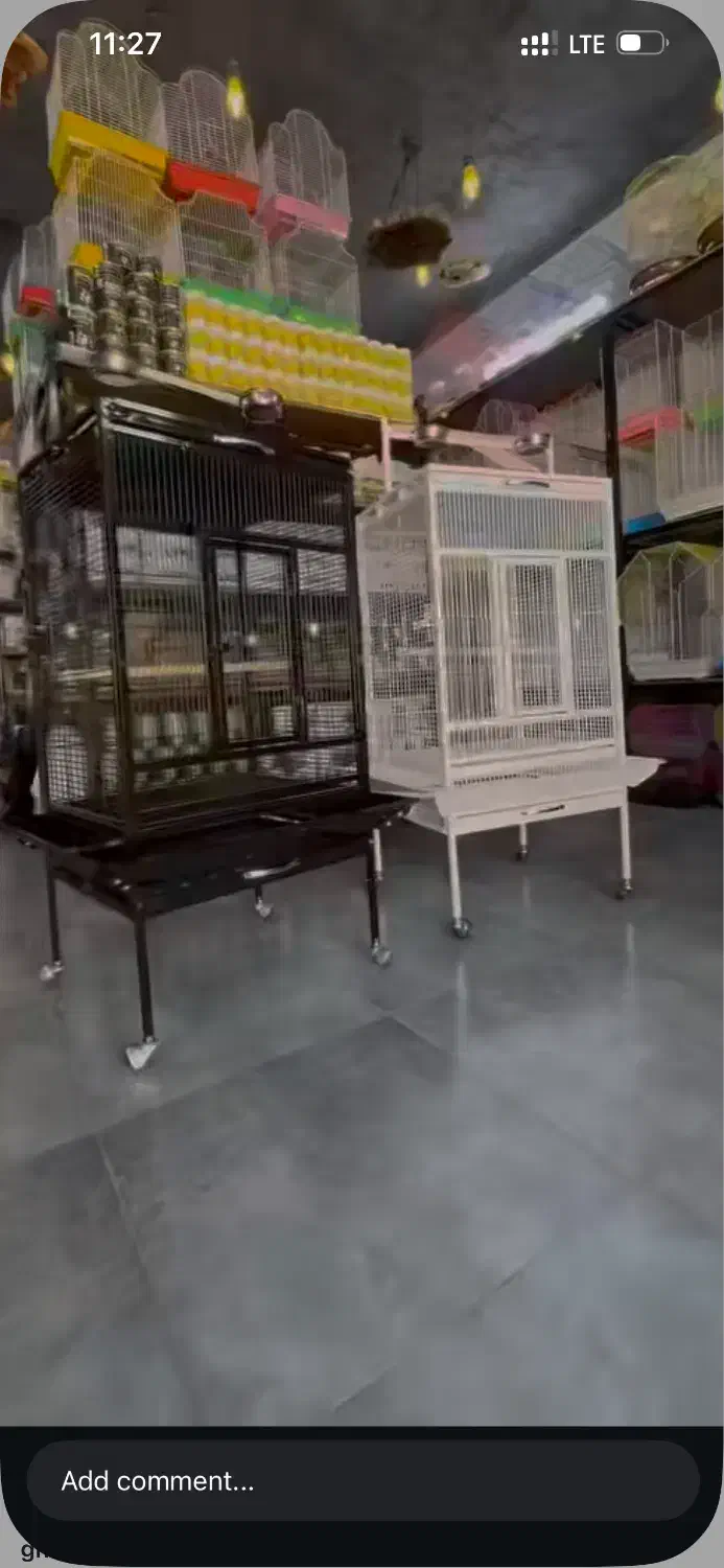 قفس پرنده|لوازم جانبی حیوانات|امیدیه, |دیوار