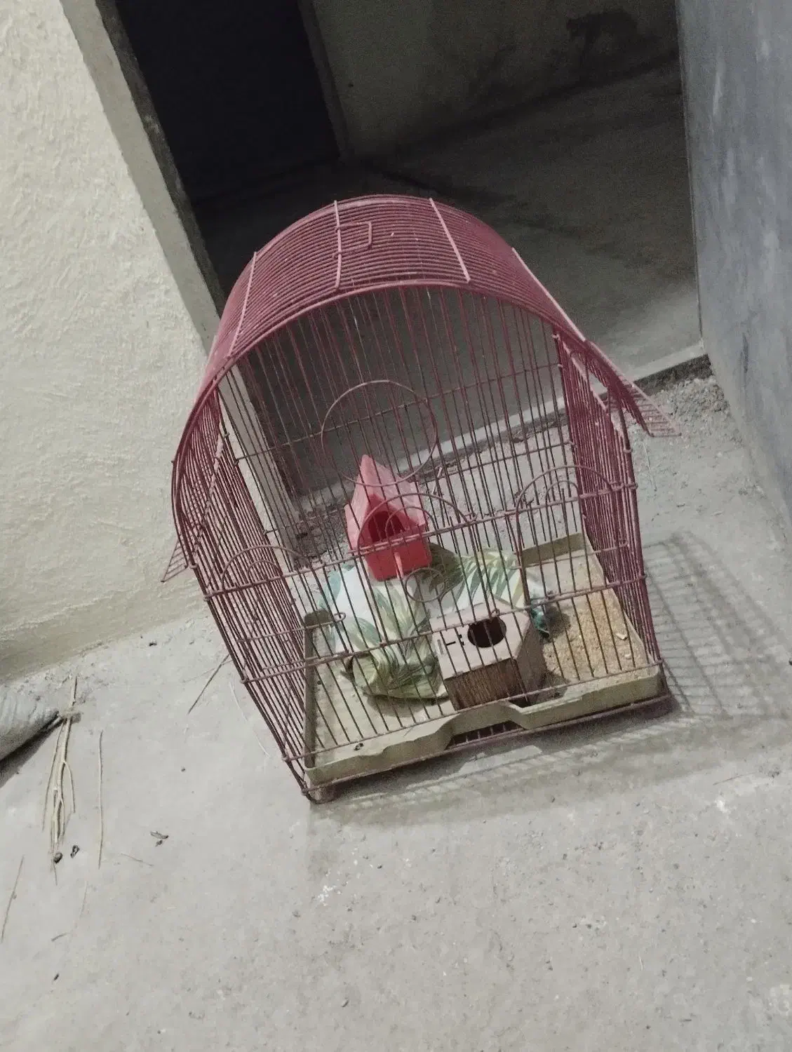 قفس|لوازم جانبی حیوانات|پاکدشت, پاکدشت (مامازند)|دیوار