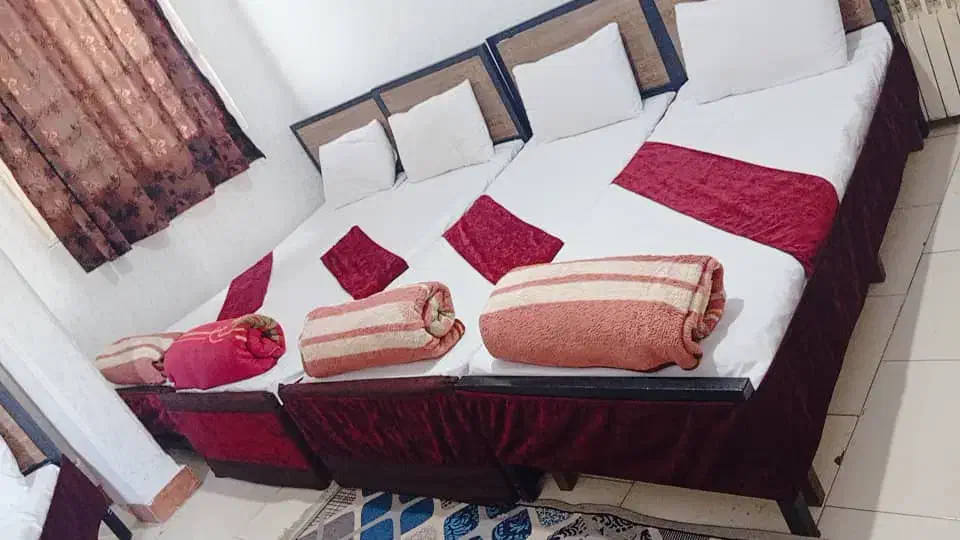 سفر به مشهد مقدس|تور و چارتر|بم, |دیوار