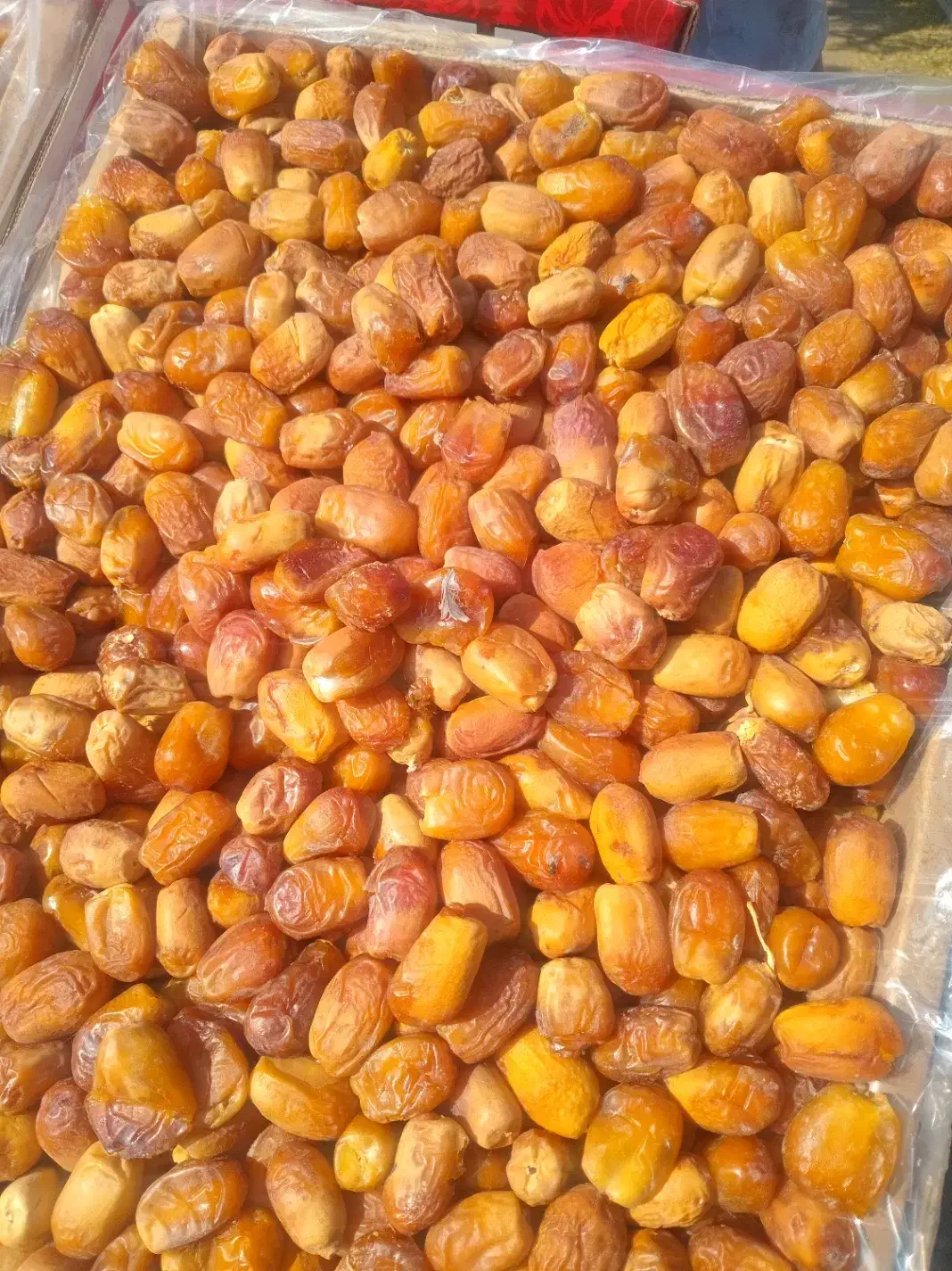 خرما زاهدی|عمدهفروشی|بوئین زهرا, |دیوار