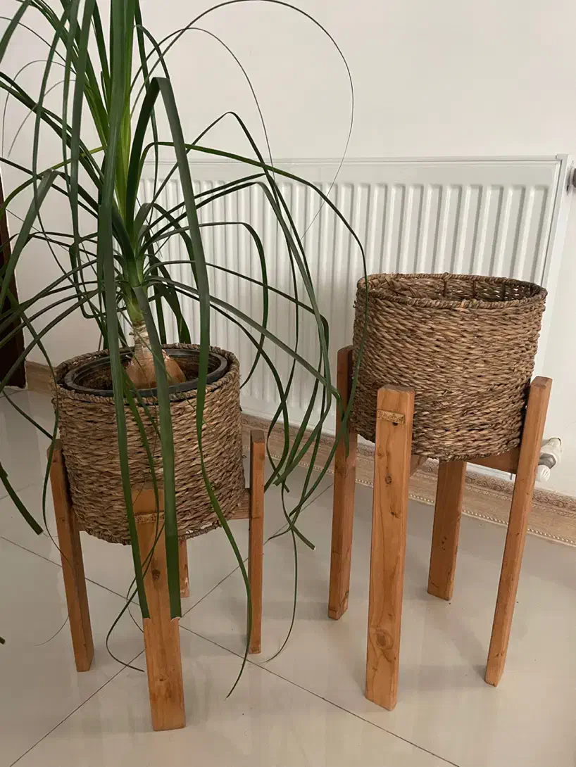 گل لیندا همراه دوعدد پایه گلدان حصیری چوبی|گل و گیاه طبیعی|نظرآباد, نظرآباد|دیوار