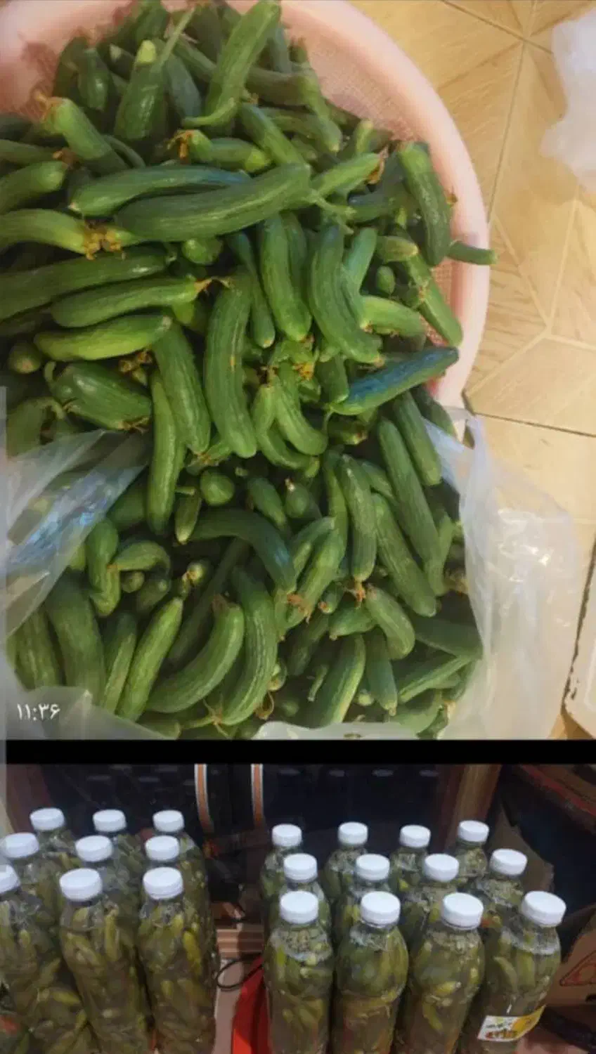 خیارشور|خوردنی و آشامیدنی|شیراز, شهرک قمشه|دیوار