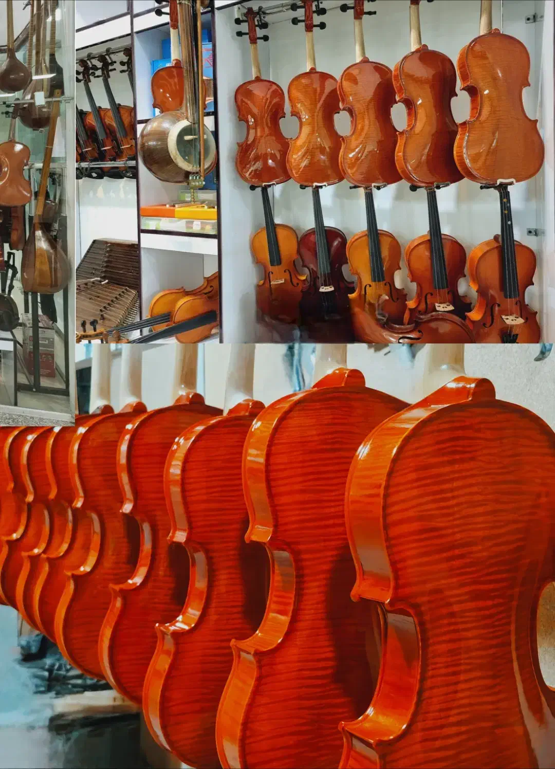 مغازه موسیقی|ویولن|فیروزآباد (فارس), |دیوار