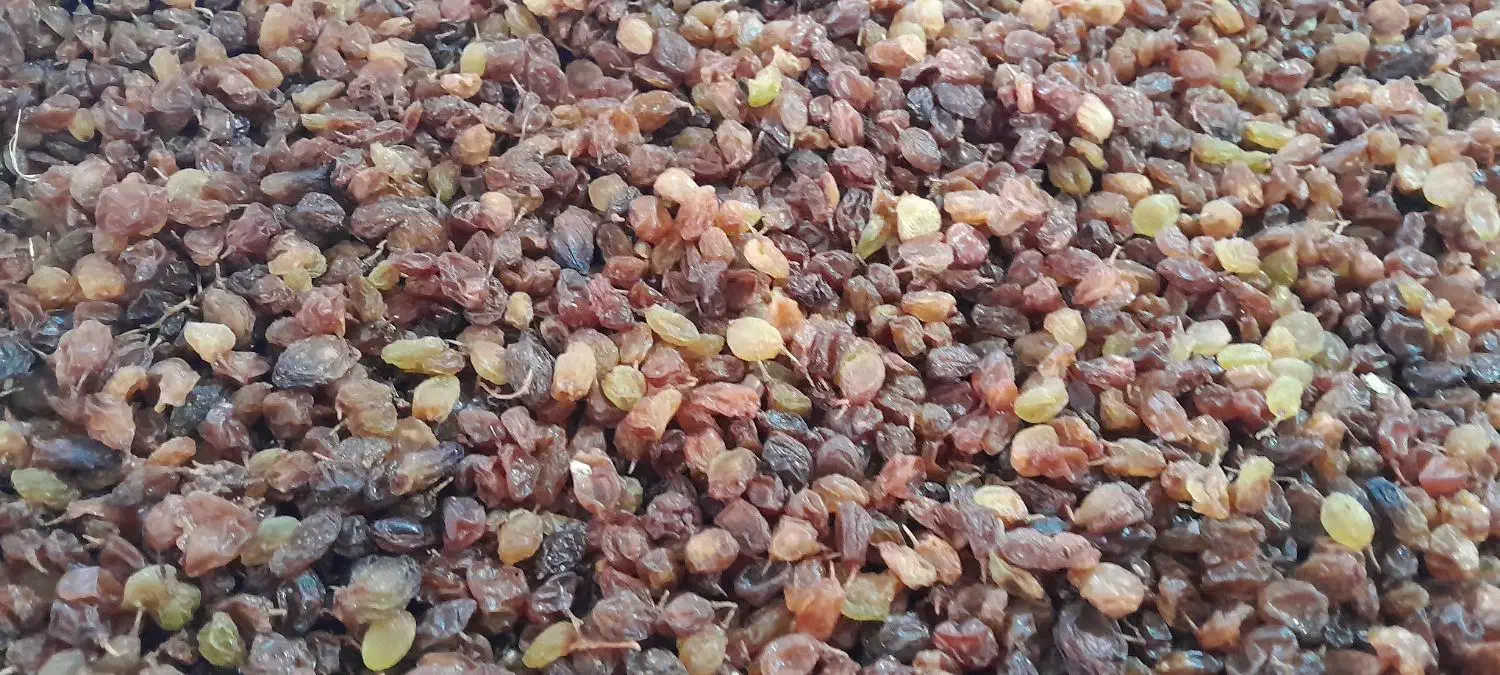 کشمش ارگانیکسیسخت|خوردنی و آشامیدنی|یاسوج, |دیوار