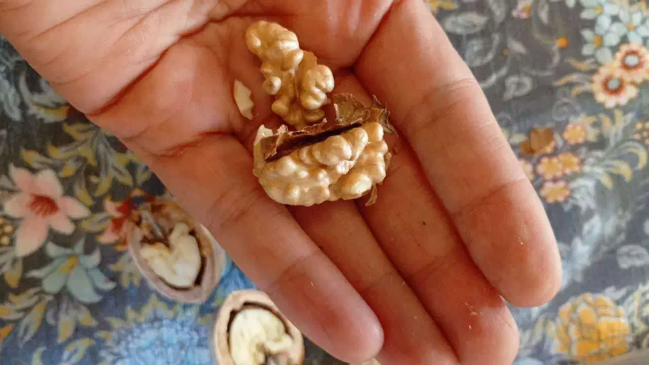 بادام عالی شب یلدا شیره انگور آتیشی گردو مغز سفید|خوردنی و آشامیدنی|محلات, |دیوار