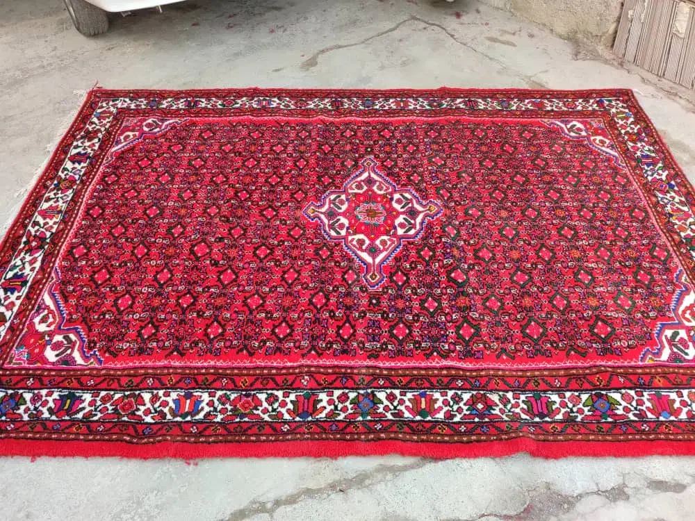 فرش دست بافت 6 متری صد درصد کیفیت عالی|فرش|برازجان, |دیوار