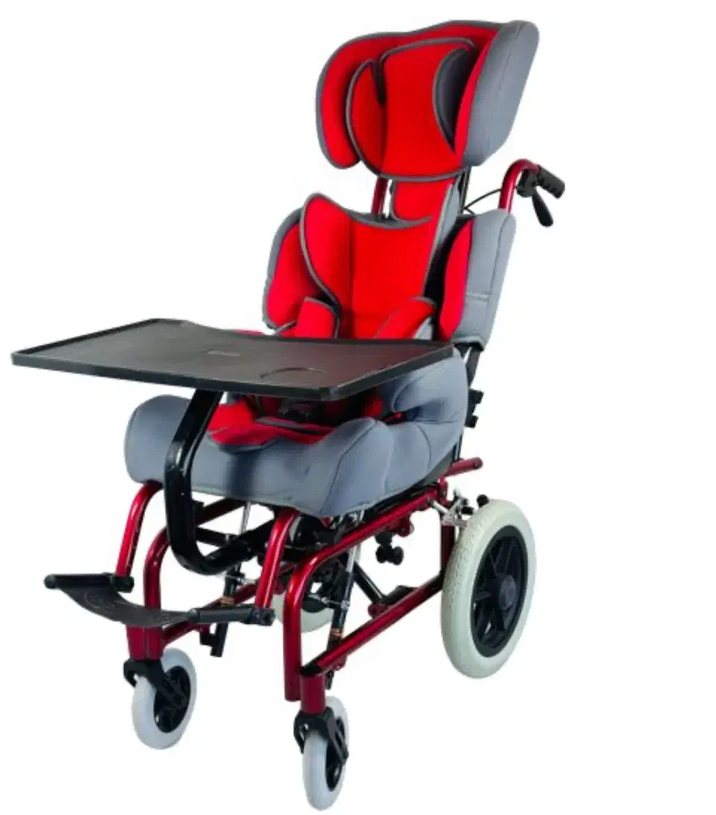 ویلچر cp افراد ناتوان ذهنی و حرکتی|آرایشی، بهداشتی، درمانی|تهران, اسکندری|دیوار