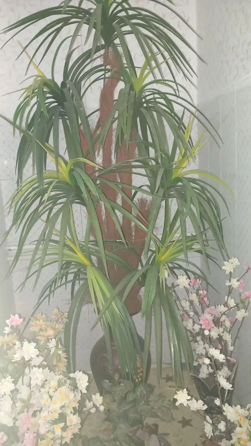 درخت کاج تزئینی|گل مصنوعی|اسدآباد, |دیوار