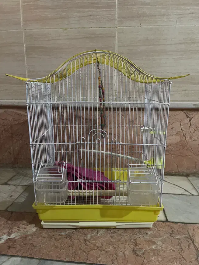 قفس پرنده|لوازم جانبی حیوانات|هشتگرد, شهرک بعثت|دیوار