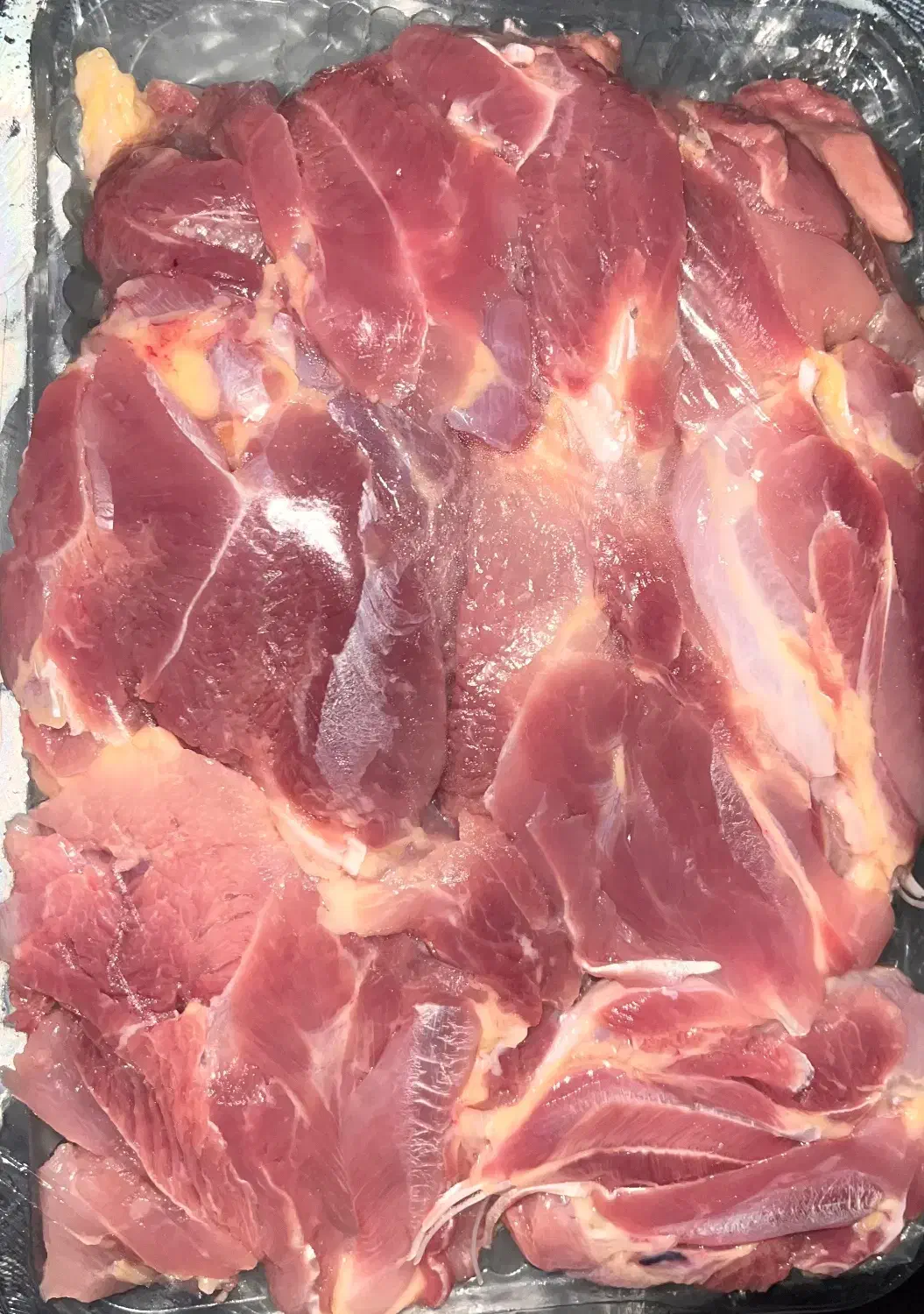 گوشت شترمرغ روز|خوردنی و آشامیدنی|اندیشه, اندیشه فاز ۲|دیوار