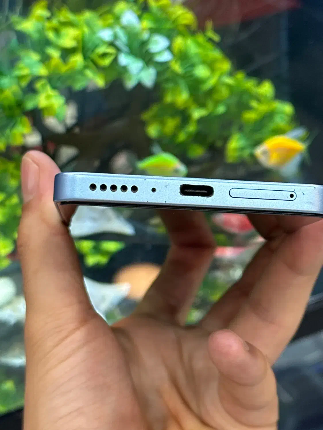 شیامی not13 256|موبایل|شیراز, زند|دیوار