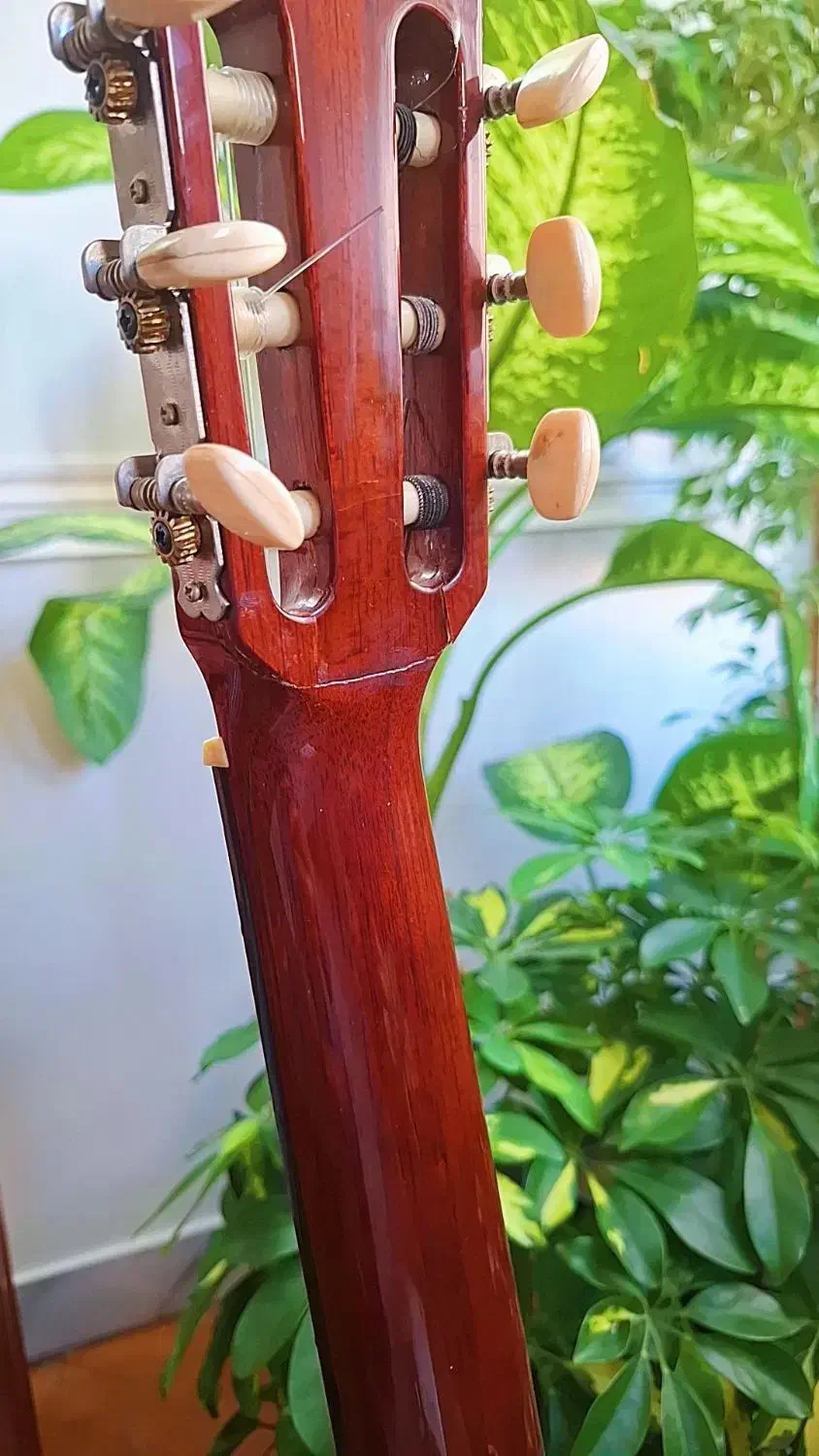 گیتار والنسیا CG160|گیتار، بیس، امپلیفایر|تهران, تهرانپارس شرقی|دیوار