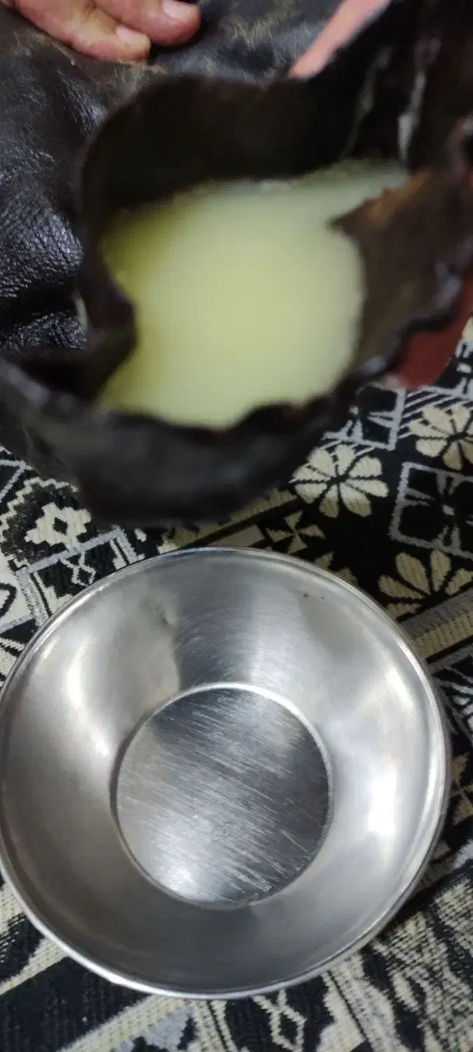 روغن حیوانی با گوسفند|خوردنی و آشامیدنی|زاگرس, |دیوار