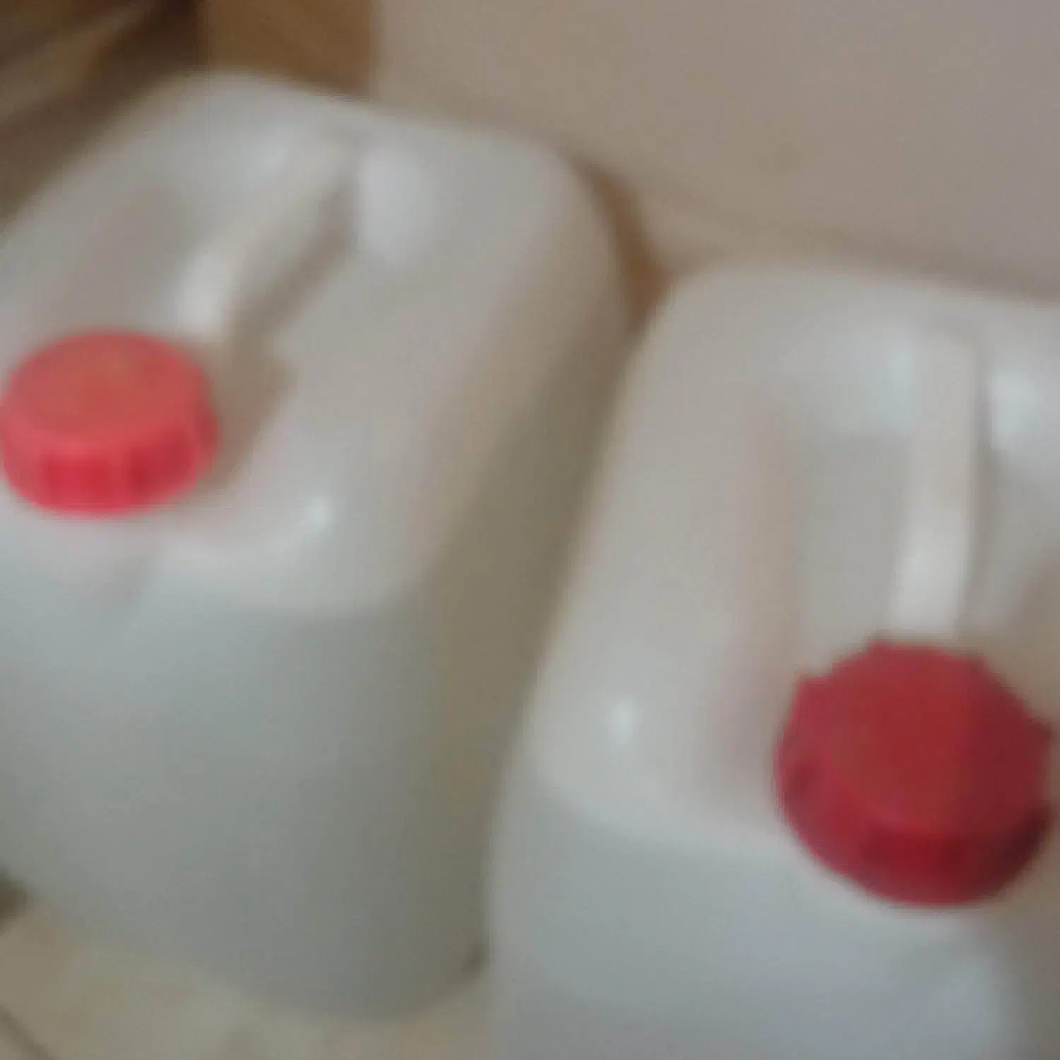 بیدمشک بومی|عمدهفروشی|کاشان, امیرکبیر|دیوار